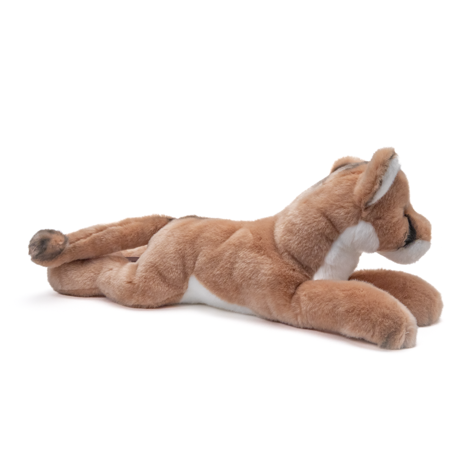Cougar / Mountain Lion Plush Toy