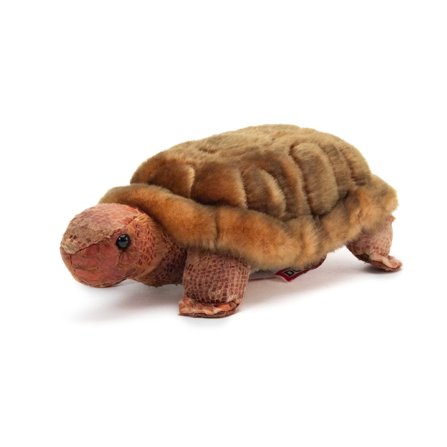 Turtle Plush Toy