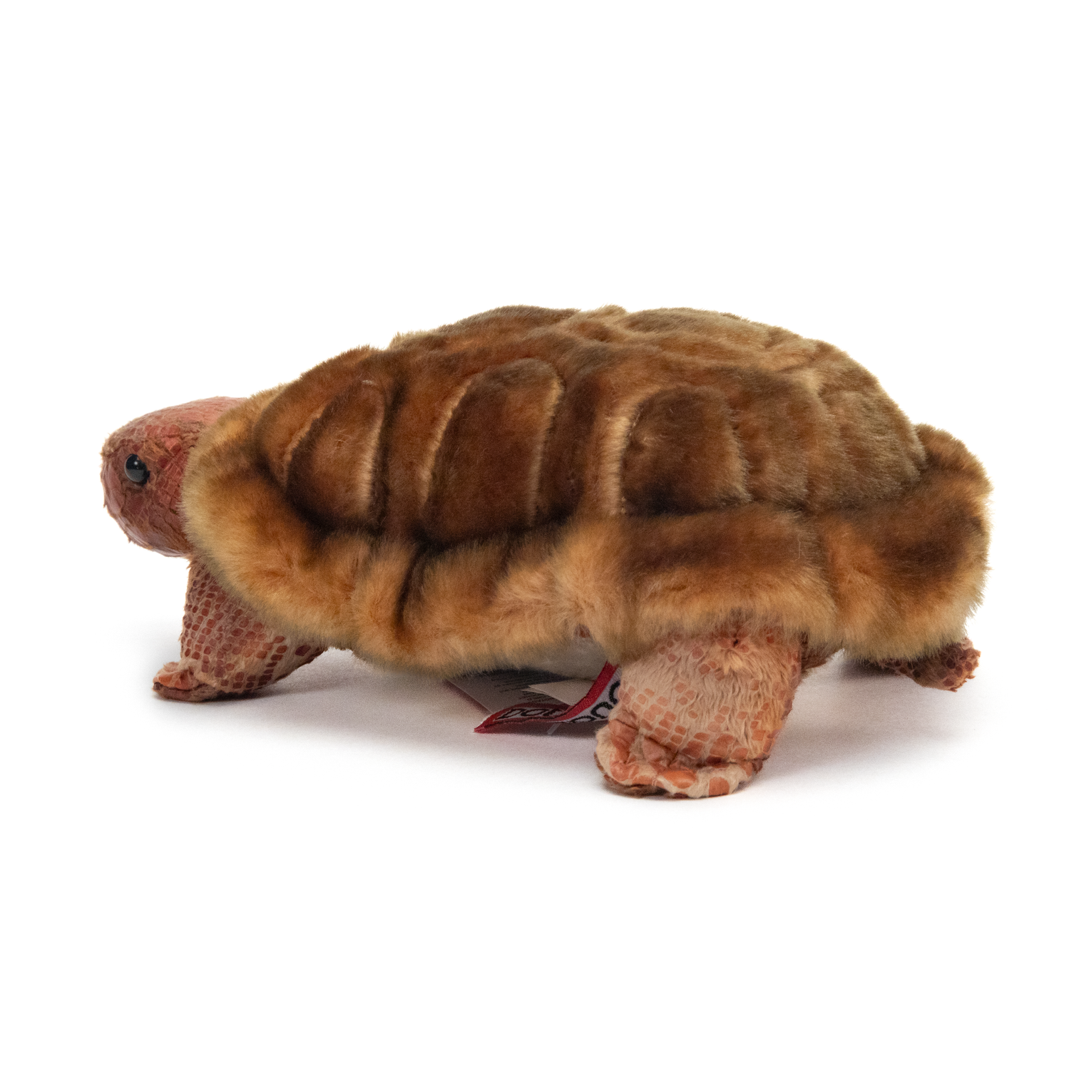 Turtle Plush Toy