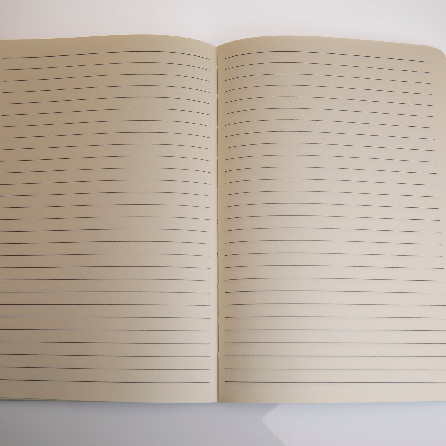 Chickasaw Nation Logo Journal