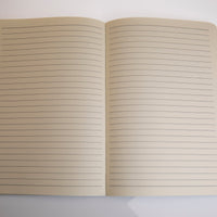 Chickasaw Nation Logo Journal