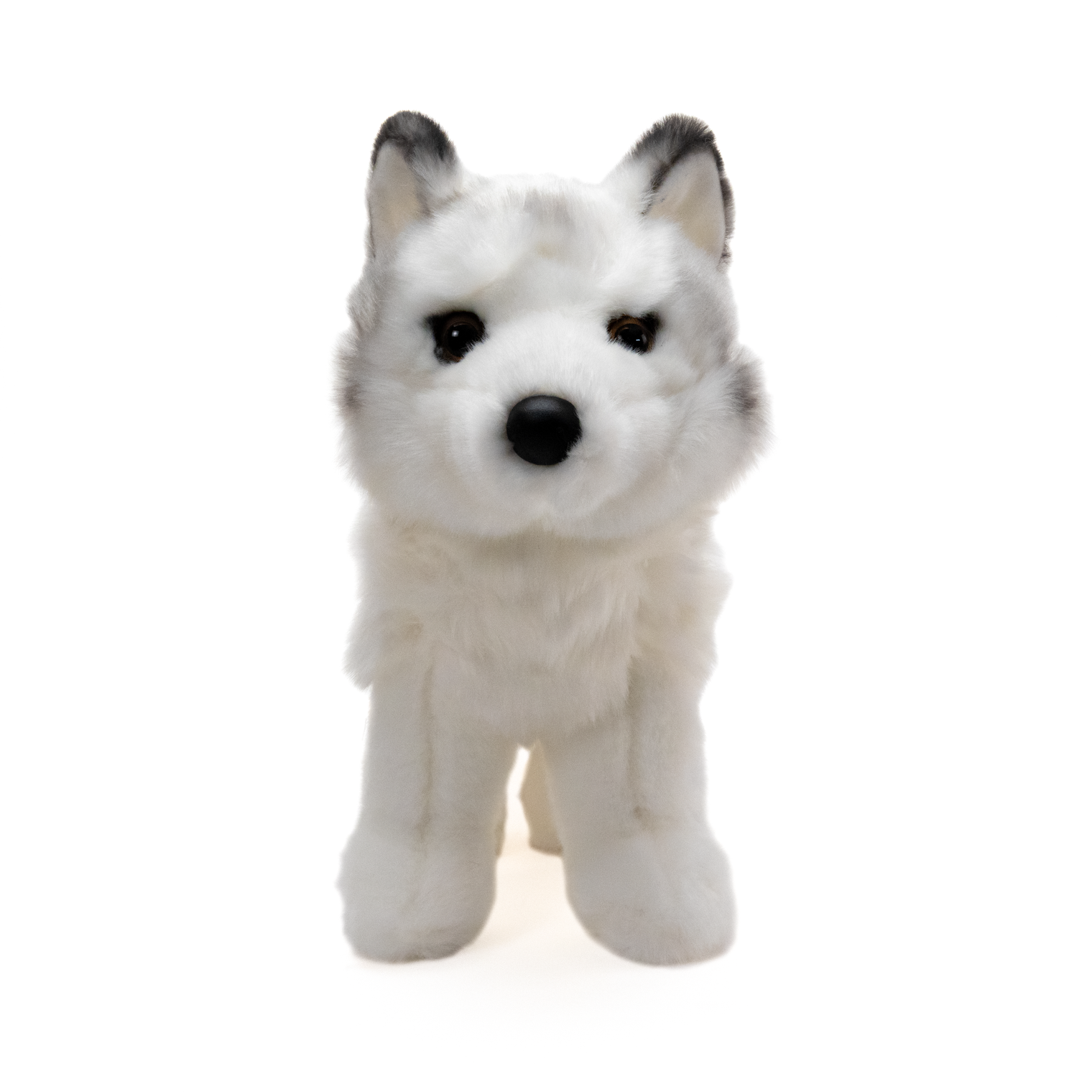 White Dog Plush Toy