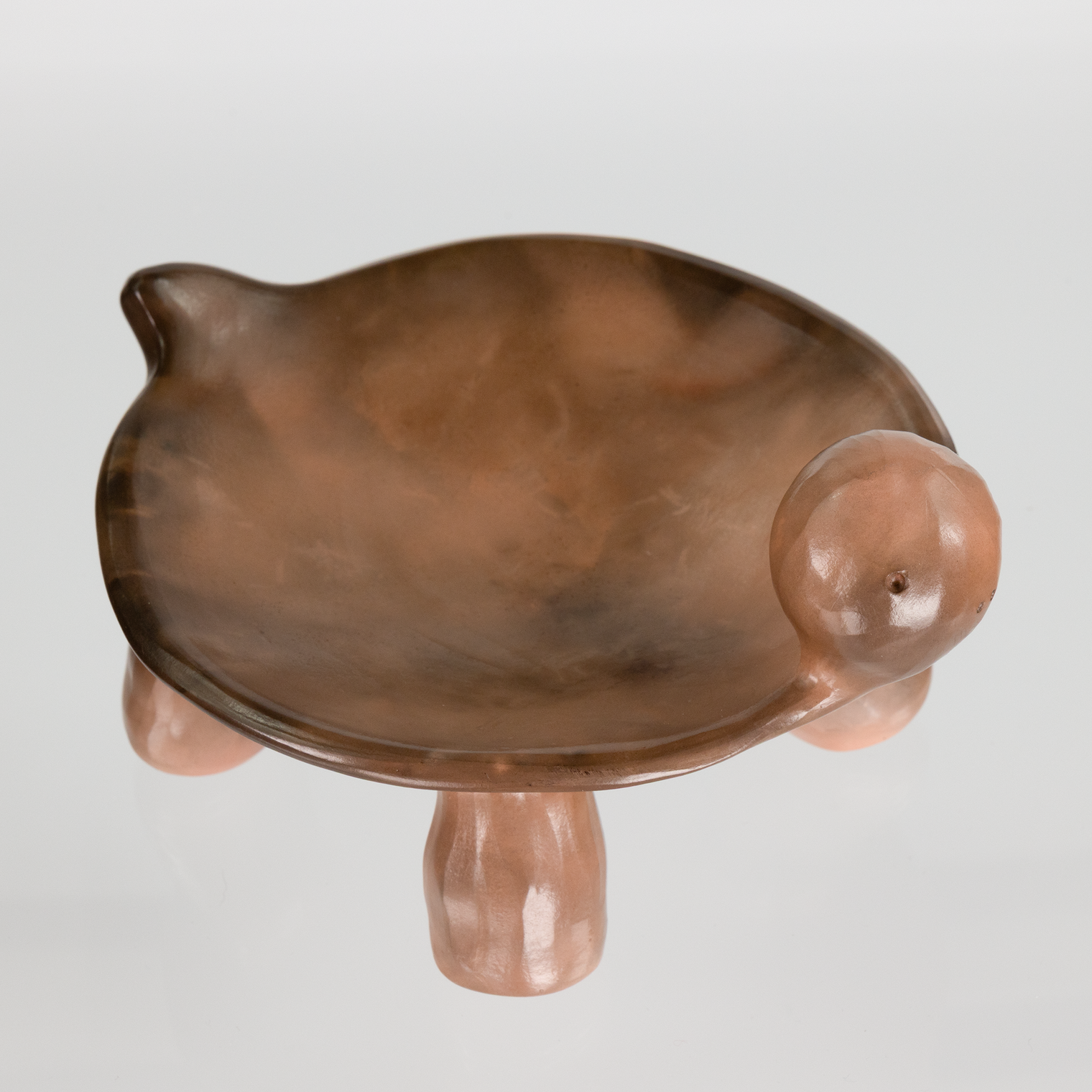 Turtle Bowl