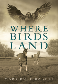 Where Birds Land